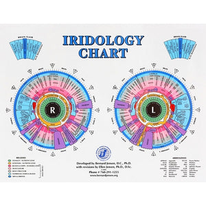 Iridology Desk Chart (8 1/2 x 11)