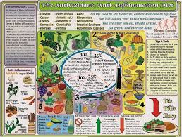Anti-Oxidant/Anti-Inflammation Diet