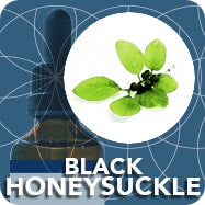 Black Honeysuckle (Young Shoot Extract), Lonicera Nigra