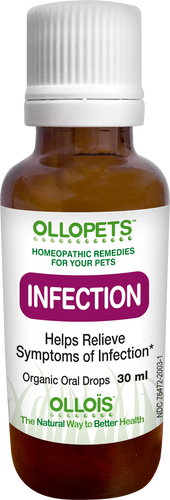OLLOPETS Infection