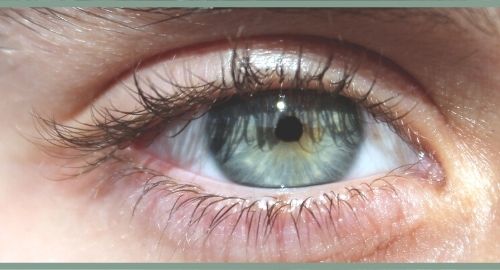Certified Master Iridologist (CMI)
