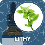 Lithy Tree (Tree Bud Extract), Viburnum Lantana