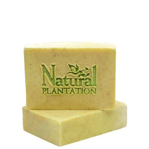 LEMONGRASS / LIME Soap