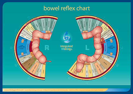 Bowel Reflex Chart