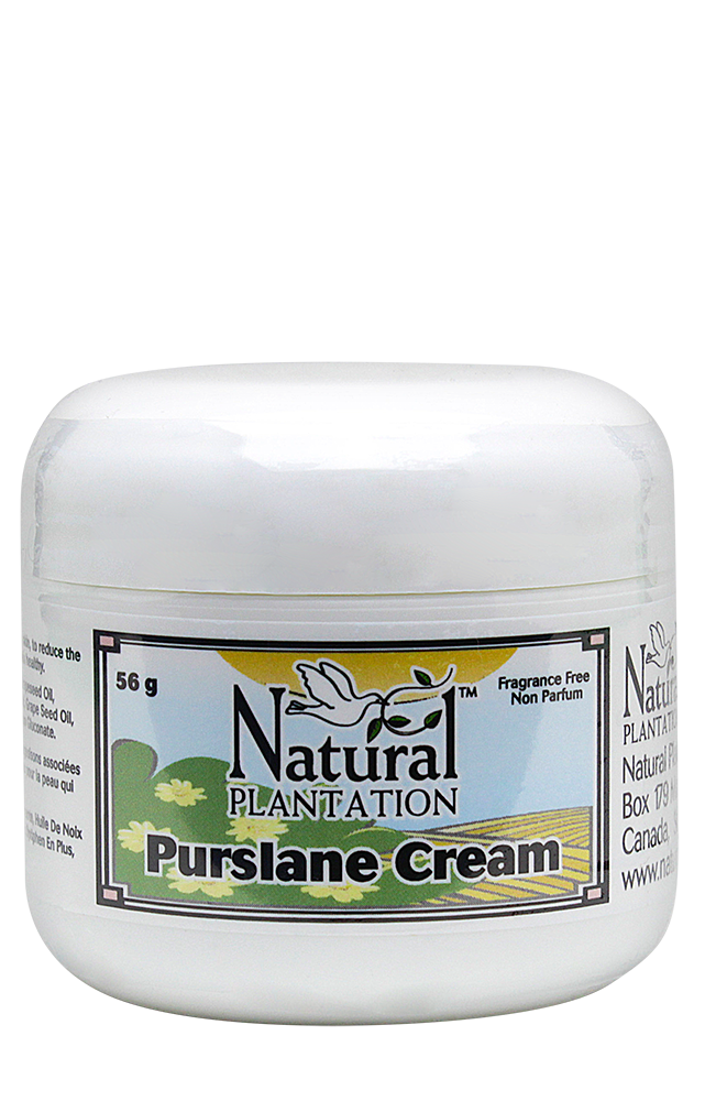 Purslane Cream