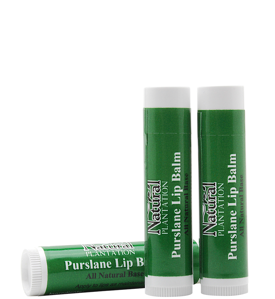 Purslane Lip Balm