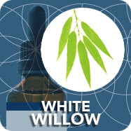 White Willow (Tree Bud Extract), Salix Alba