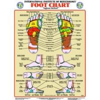 Foot & Hand Chart Set (Small)